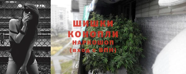 PSILOCYBIN Абаза