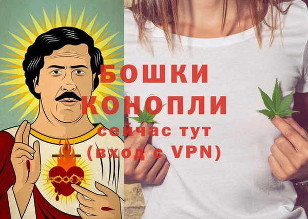 PSILOCYBIN Абаза