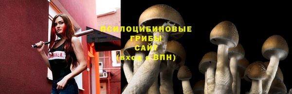 PSILOCYBIN Абаза