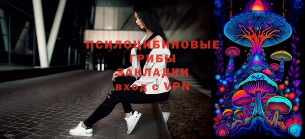 PSILOCYBIN Абаза