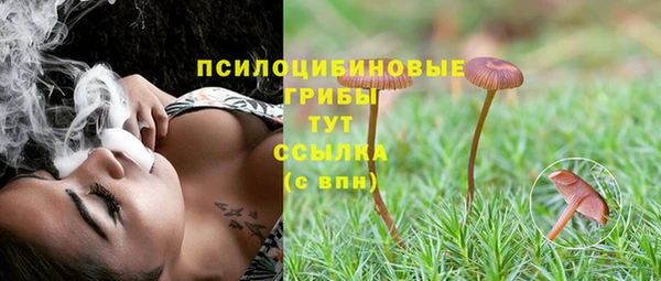 гашик Абдулино